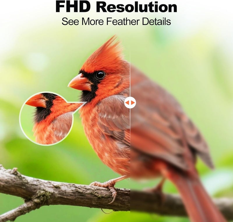 Fazoxo Bird Feeder with Camera,AI Identify Birds Species,FHD WiFi Outdoor Smart Bird Feeder Camera with Solar Powered,Real-Time Notice,Auto Record,IP65 Weatherproof Birds House with Cam,Ideal Gift for Family - Image 4